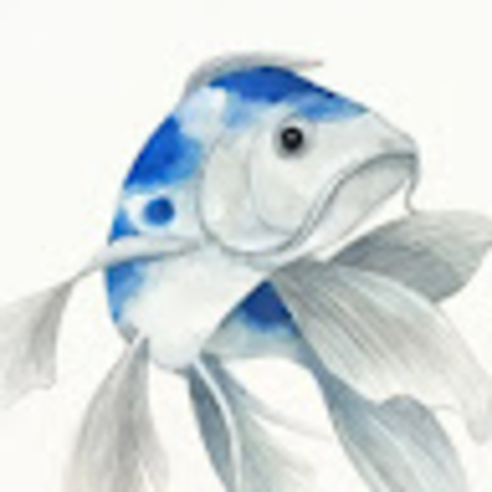 Meet your Posher, Isabelle delfosse